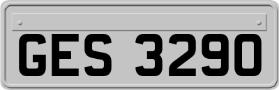 GES3290