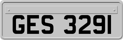 GES3291