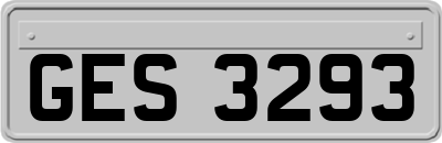 GES3293
