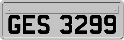 GES3299