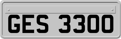 GES3300