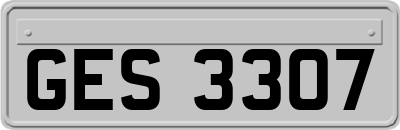 GES3307