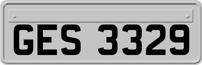 GES3329