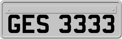 GES3333