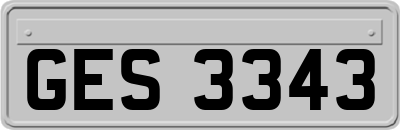 GES3343