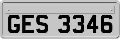 GES3346