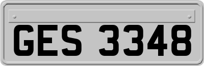GES3348