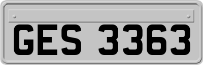 GES3363