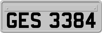 GES3384