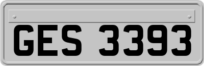 GES3393