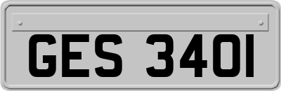 GES3401