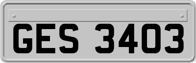 GES3403
