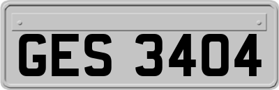GES3404