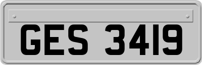 GES3419