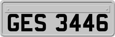 GES3446