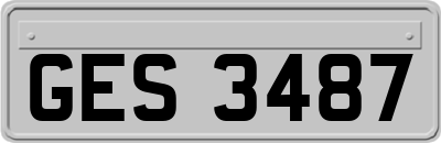 GES3487
