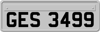 GES3499