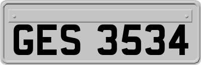 GES3534