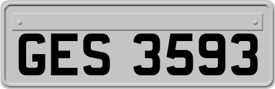 GES3593