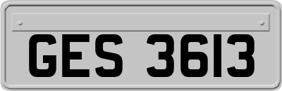 GES3613