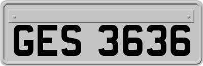 GES3636