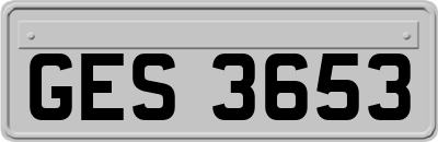 GES3653