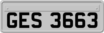 GES3663