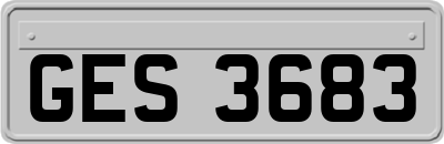 GES3683