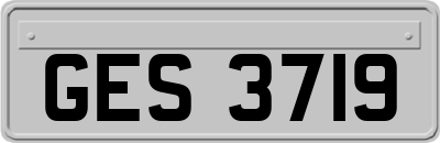 GES3719