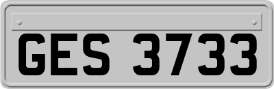 GES3733