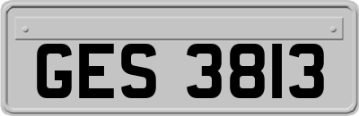 GES3813
