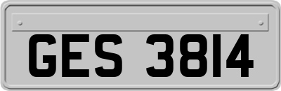 GES3814