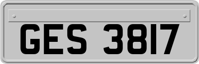 GES3817
