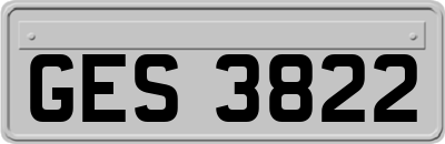 GES3822