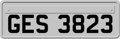 GES3823