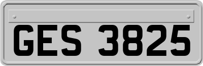 GES3825