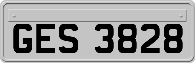 GES3828