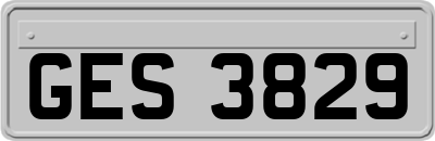 GES3829