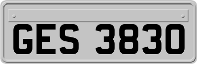 GES3830
