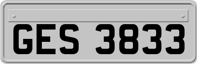 GES3833