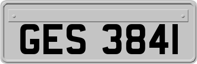 GES3841