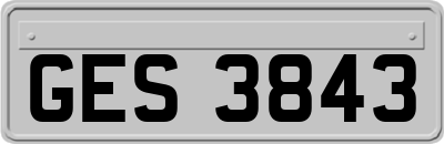 GES3843