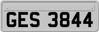 GES3844