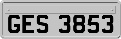 GES3853