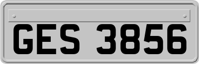 GES3856