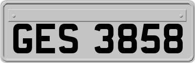 GES3858