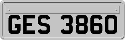 GES3860