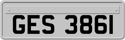 GES3861