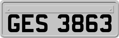 GES3863