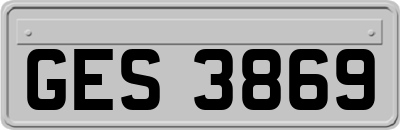 GES3869
